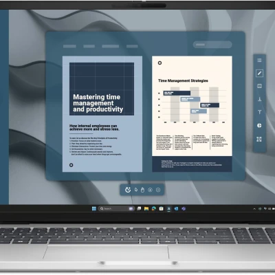 Ноутбук Dell Pro 16 16" FHD+ IPS AG (BTO106PC16250UA_UBU)